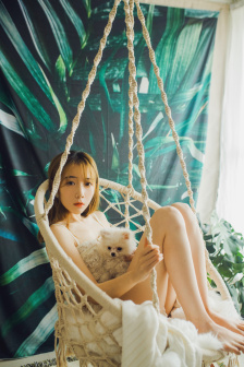 新上门女婿电视剧